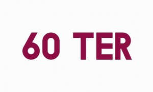 Art&iacute;culo 60 ter*