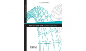 Derecho procesal penal. Un an&aacute;lisis comparado
