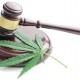 Ya no hay mucho que debatir sobre la mariguana