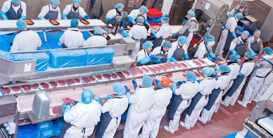 El principio precautorio como elemento de protecci&oacute;n sanitaria 