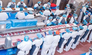 El principio precautorio como elemento de protecci&oacute;n sanitaria 