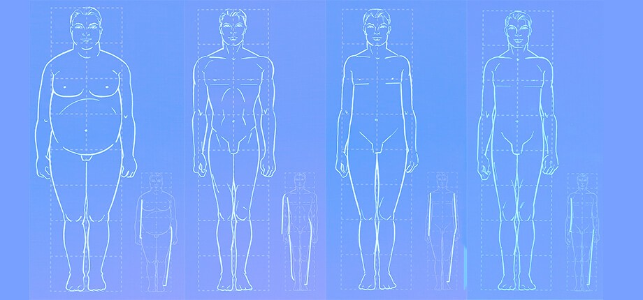 El estudio morfol&oacute;gico del cuerpo humano como fundamento de la asesor&iacute;a de imagen