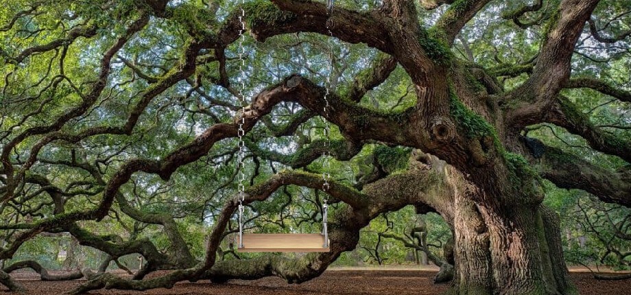 La representaci&oacute;n especial