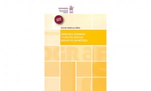 Derechos humanos y funci&oacute;n judicial: ensayo de un m&eacute;todo
