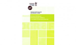 Develaci&oacute;n de la personalidad jur&iacute;dica y su impacto en insolvencias