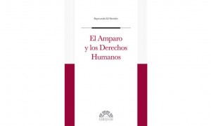 El amparo y los derechos humanos