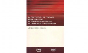 La protecci&oacute;n de testigos en el marco de la persecuci&oacute;n penal de la delincuencia organizada