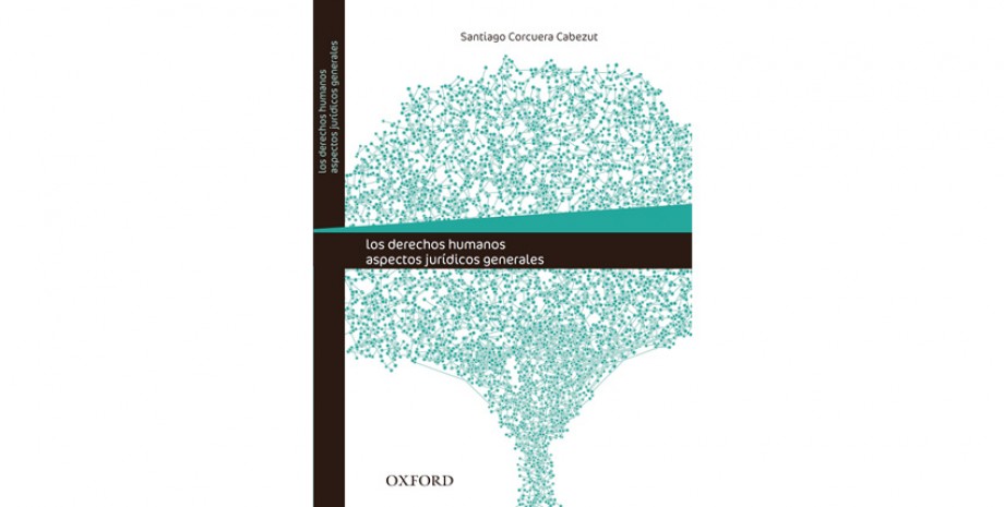 Los derechos humanos. Aspectos jur&iacute;dicos generales