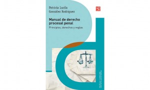Manual de Derecho procesal penal. Principios, derechos y reglas 