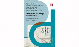 Manual de sociolog&iacute;a del Derecho. Diecis&eacute;is lecciones introductorias 