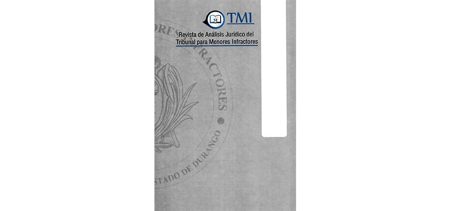 Revista de An&aacute;lisis Jur&iacute;dico del Tribunal para Menores Infractores