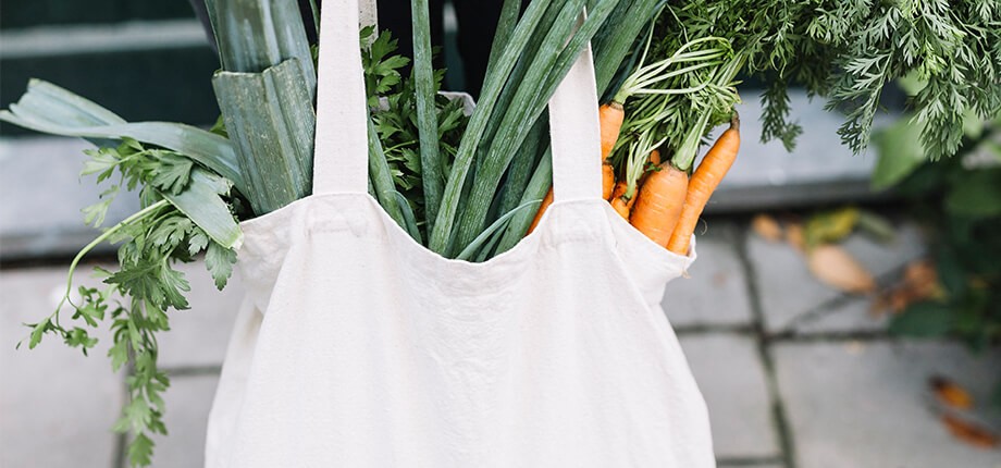 ¿Puede prohibirse el uso de las bolsas de plástico?