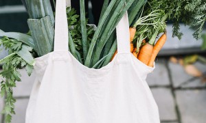 &iquest;Puede prohibirse el uso de las bolsas de pl&aacute;stico?