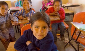 Claroscuros del art&iacute;culo 3&deg; constitucional