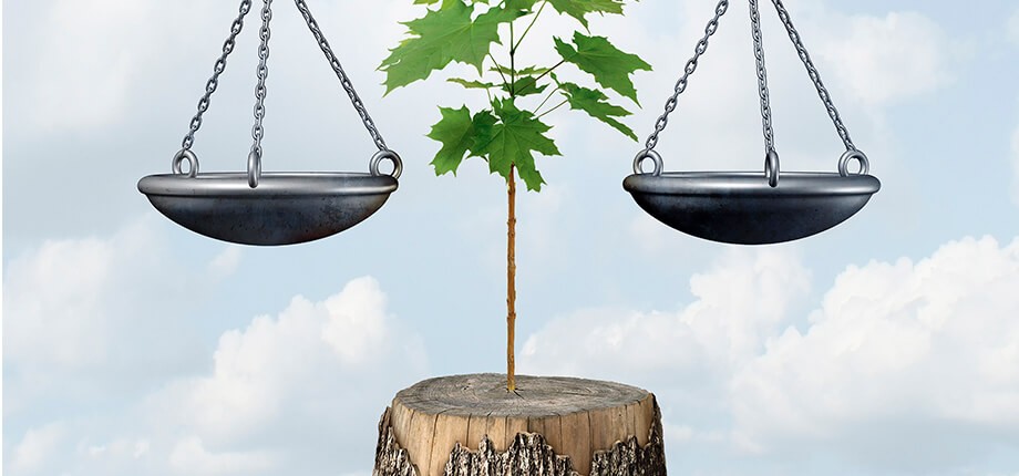 &iquest;De veras tenemos buenas leyes?