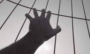 Topo Chico: crisis del sistema penitenciario