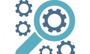 Los sistemas locales de fiscalizaci&oacute;n superior y sus desaf&iacute;os