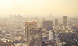 La criminalizaci&oacute;n de la gesti&oacute;n ambiental