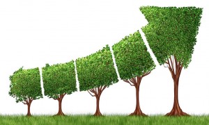 R&eacute;gimen de insolvencia para MiPyMEs