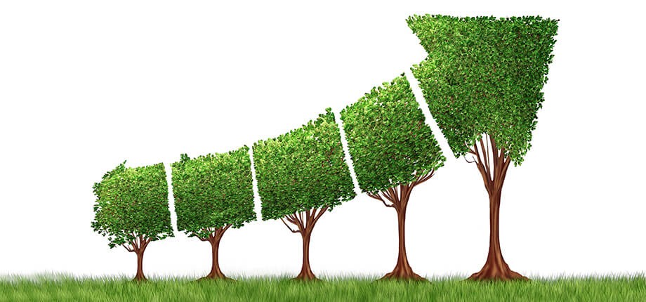 R&eacute;gimen de insolvencia para MiPyMEs