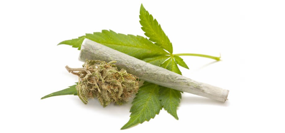 ¿Legalizamos la marihuana?