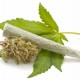 &iquest;Legalizamos la marihuana?